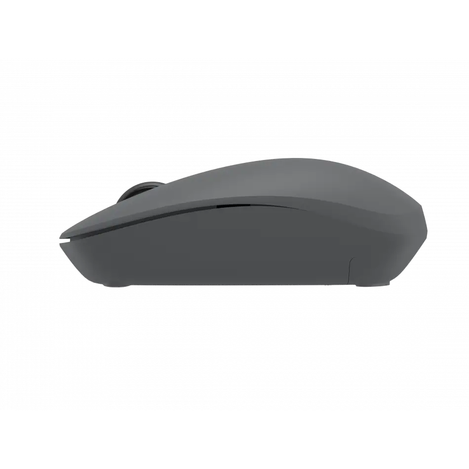 PHILIPS 2.4 GHZ + BLUETOOTH MOUSE SPK7418G GRİ