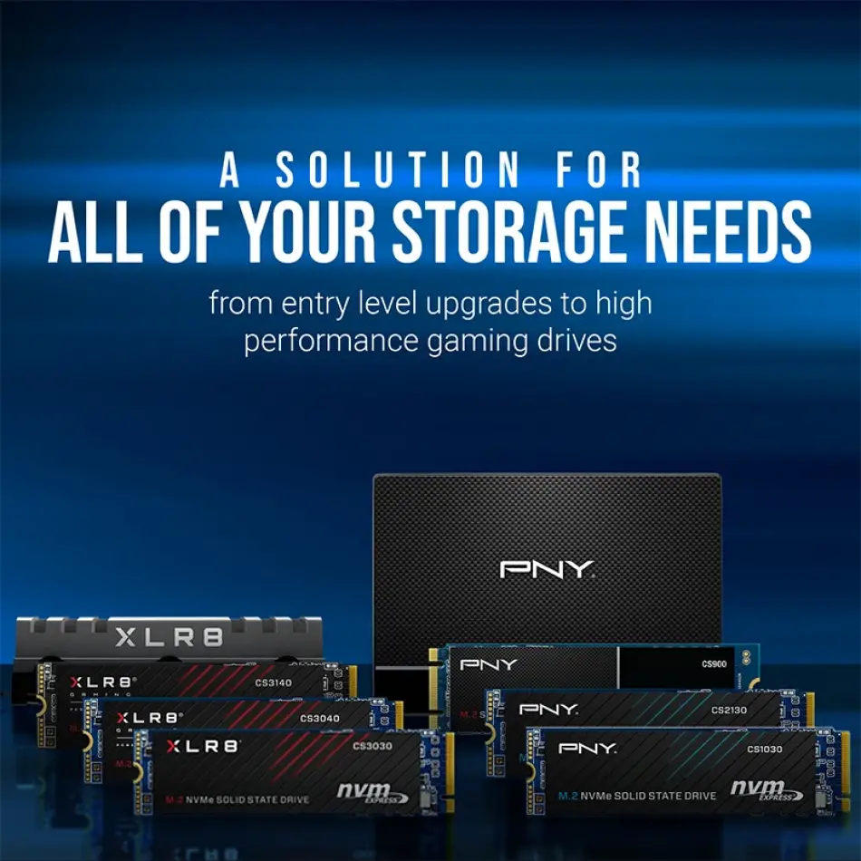 Pny Cs900 250gb 535/500mb/s 2,5 Sata3 Ssd (ssd7cs900-250-rb)