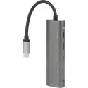 Daytona Fc25 5li Usb Type-c Docking Station