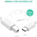 Daytona Tb1-2-1  1m Tip-c =>usb B Çevirci Kablo