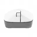 Everest Smw-973 Usb Beyaz/gri 2.4ghz Kablosuz