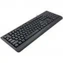 Frisby Fk-202ru Usb Rusça Siyah Q Mm Klavye
