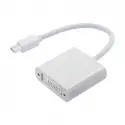 Hıper Hc14 Mını Display/dvı Çevirici