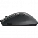 Lenovo Professıonal Kablosuz Mouse 4y51j62544