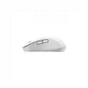 Logıtech 910-006238, M650l Signature, Beyaz, Sağ El, Usb Nano 2,4g Kablosuz,4000dpi, Optik, 5 Tuşlu, 24ay Pil Ömrü, Sessiz Mouse