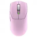 Msı Forge Gm340 W Vıolet Mouse