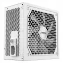 Msı Mag 1000gl Pcıe5 Whıte 1000w 80+ Gold Power