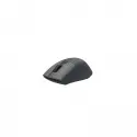 PHILIPS 2.4 GHZ + BLUETOOTH MOUSE SPK7528G GRİ