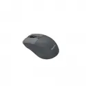 PHILIPS 2.4 GHZ + BLUETOOTH MOUSE SPK7528G GRİ