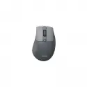 PHILIPS 2.4 GHZ + BLUETOOTH MOUSE SPK7528G GRİ