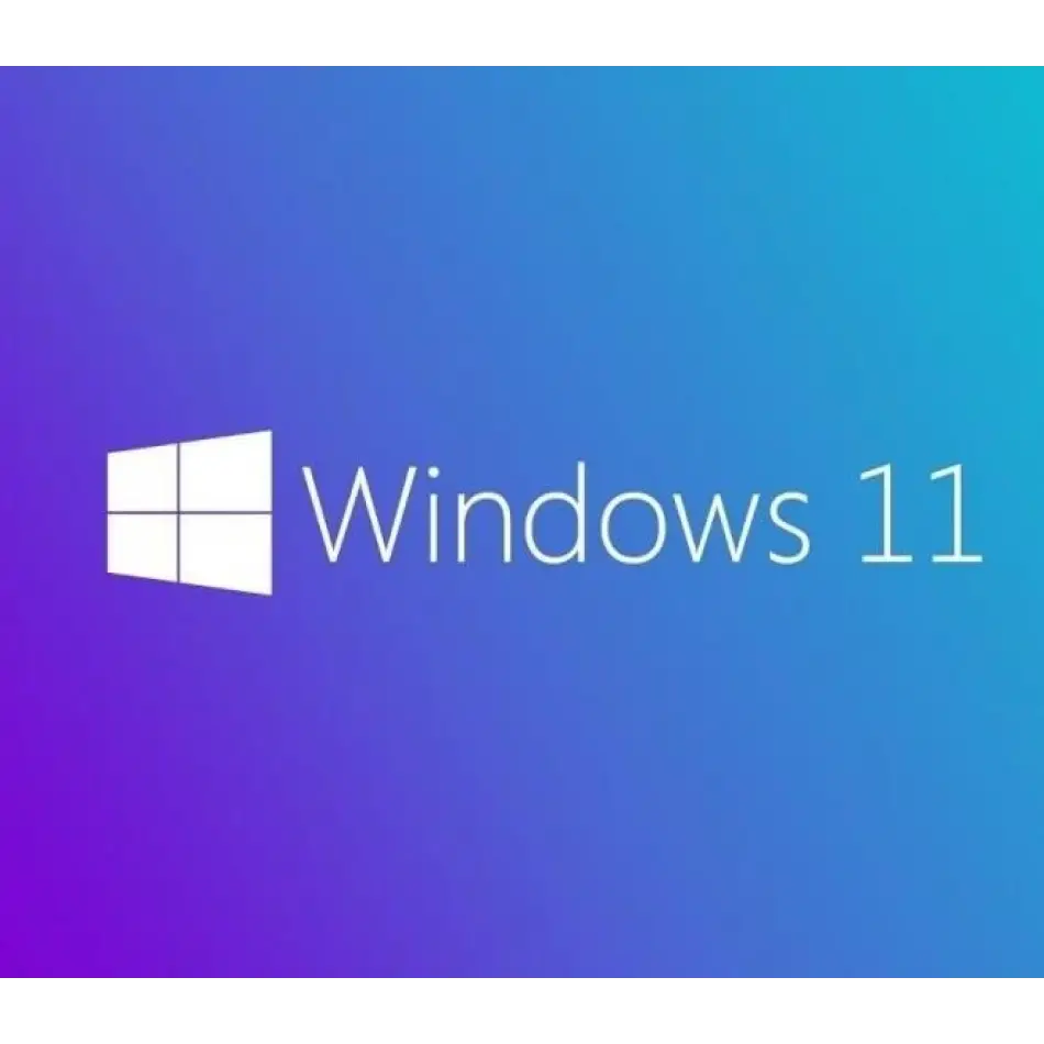 Ms Wındows 11 Pro 64 Bıt Turkce Oem FQc-10556