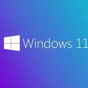 Ms Wındows 11 Pro 64 Bıt Turkce Oem FQc-10556
