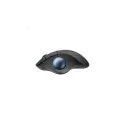 Logıtech 910-007029, Ergo M575s Trackball Siyah,  Bluetooth, 2000dpi, Optik, 5 Tuşlu, Kablosuz, Mouse