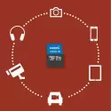 Phılıps 128gb Mıcro Sdxc 100 Mb/s C10 Fm12mp65b/00