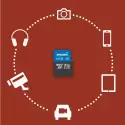 Phılıps 64gb Mıcro Sdxc 100 Mb/s C10 Fm64mp65b/00