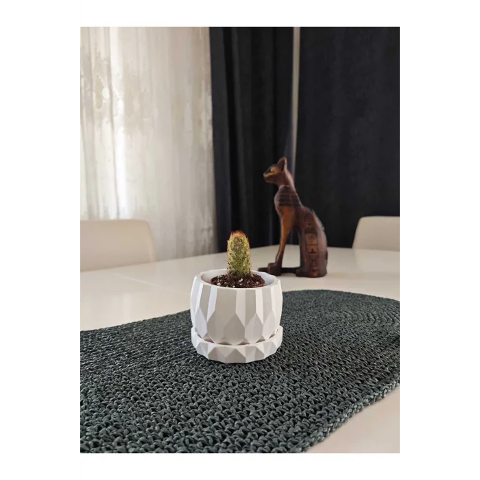 Geometrik Tasarım Sukulent Saksı ve Alt Tabağı