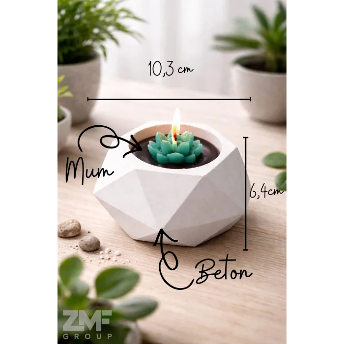 Kristal Form Beton Saksı İçinde Dekoratif Sukulent Mum