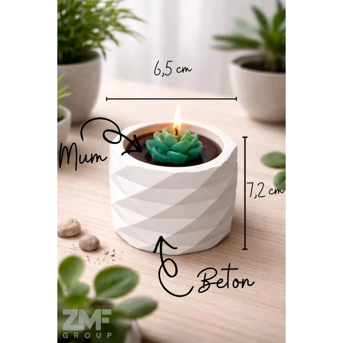 Beton Geometrik Saksı İçinde Dekoratif Sukulent Mum
