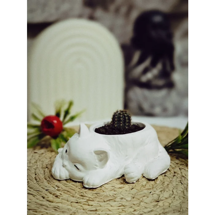 Kedi Figürlü Sukulent Saksı 4cm x 11cm