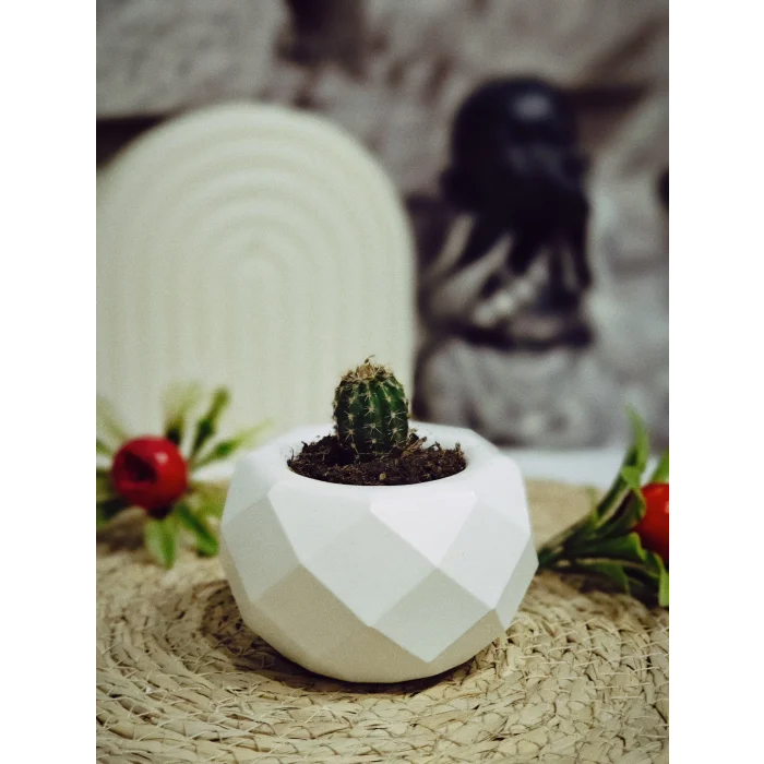 Minimal Geometrik Sukulent Saksısı 5cm x 8.5cm