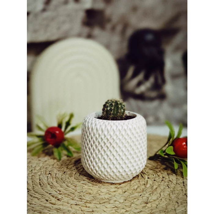 Minimal Örgü Desen Sukulent Saksısı 6,5cm x 7 cm