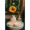 Dekoratif 5li Set Tepside Vazo, Sandal Ağacı Kokulu Mum, Tealight Mumluk ve Oda Kokusu