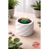 Beton Geometrik Saksı İçinde Dekoratif Sukulent Mum