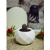 Minimal Geometrik Sukulent Saksısı 5cm x 8.5cm