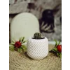 Minimal Örgü Desen Sukulent Saksısı 6,5cm x 7 cm