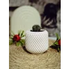 Minimal Örgü Desen Sukulent Saksısı 6,5cm x 7 cm