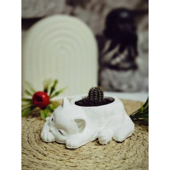 Kedi Figürlü Sukulent Saksı 4cm x 11cm