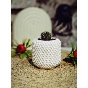 Minimal Örgü Desen Sukulent Saksısı 6,5cm x 7 cm