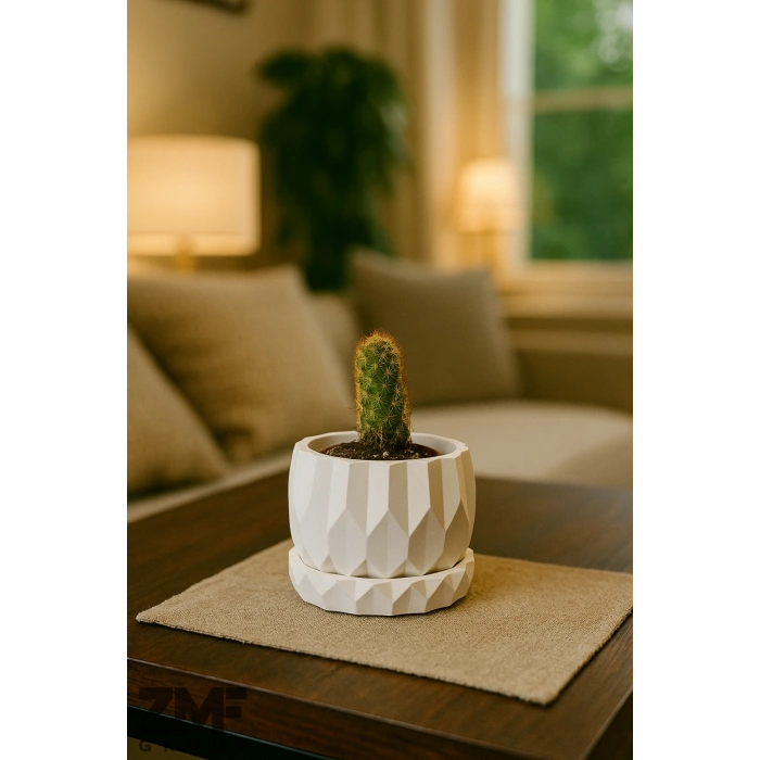 Geometrik Tasarım Sukulent Saksı ve Alt Tabağı