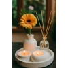Dekoratif 5li Set Tepside Vazo, Sandal Ağacı Kokulu Mum, Tealight Mumluk ve Oda Kokusu