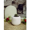 Minimal Örgü Desen Sukulent Saksısı 6,5cm x 7 cm