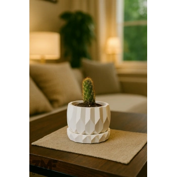 Geometrik Tasarım Sukulent Saksı ve Alt Tabağı