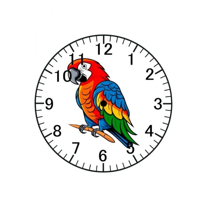 Papağan Model Duvar Saati - Papağanlı Saat