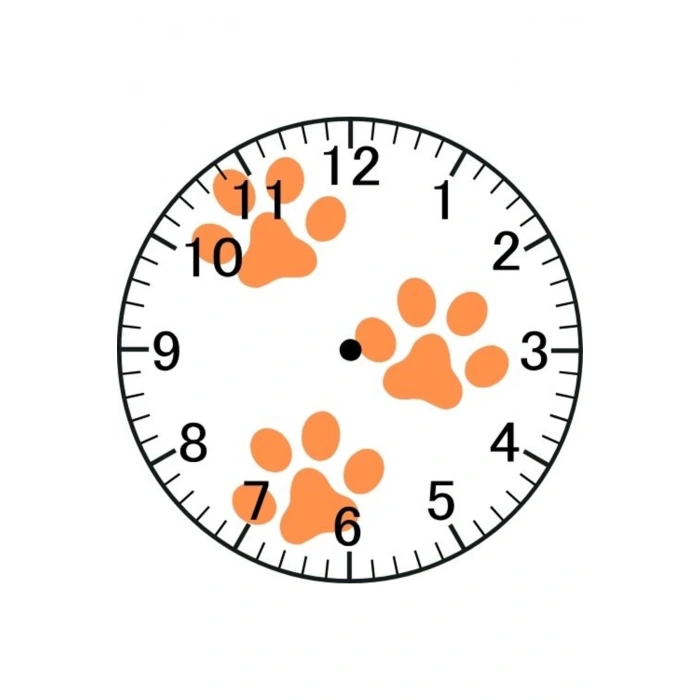 Pati Model Duvar Saati - Patili Saat