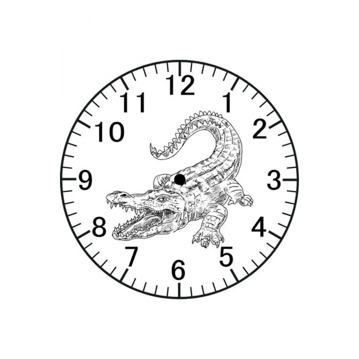 Timsah Model Duvar Saati - Timsah Saat