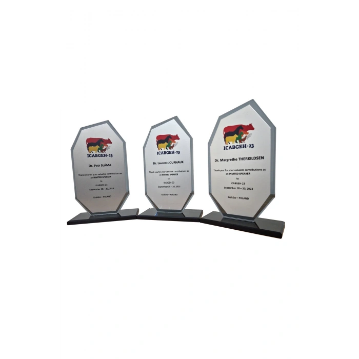 Öğretmene Plaket - Kişiye Özel Plaket - Cam Plaket - Kristal Plaket