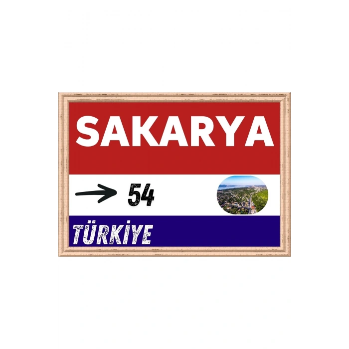 Sakarya Tablo - Retro Tablo