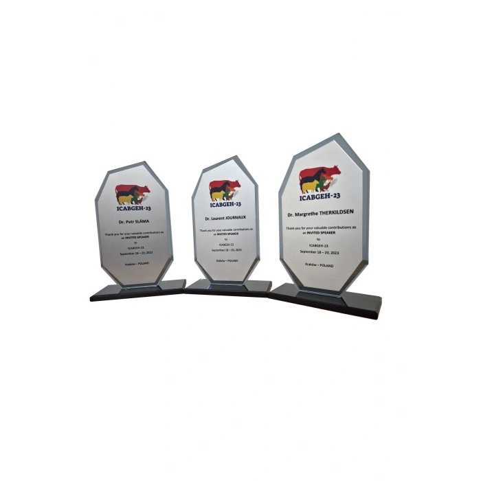 Özcan Tasarım Öğretmene Plaket - Kişiye Özel Plaket - Cam Plaket - Kristal Plaket