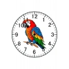 Papağan Model Duvar Saati - Papağanlı Saat
