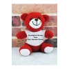 Kişiye Özel Peluş Ayıcık - Resimli Ayıcık - Sevgiliye Ayıcık - Kişiye Özel Ayıcık ( 25 Cm )