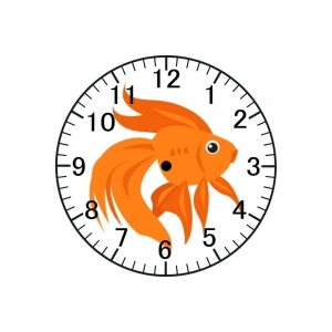 Balık Model Duvar Saati - Balıklı Saat