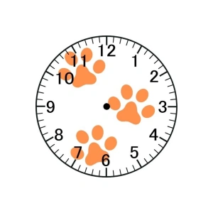 Pati Model Duvar Saati - Patili Saat