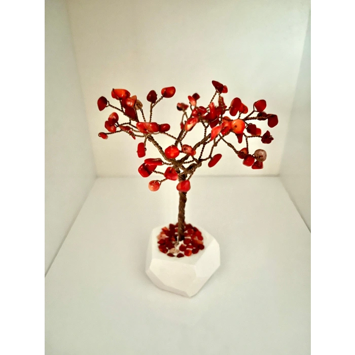 Kırmızı Mercan Doğaltaş Mercan