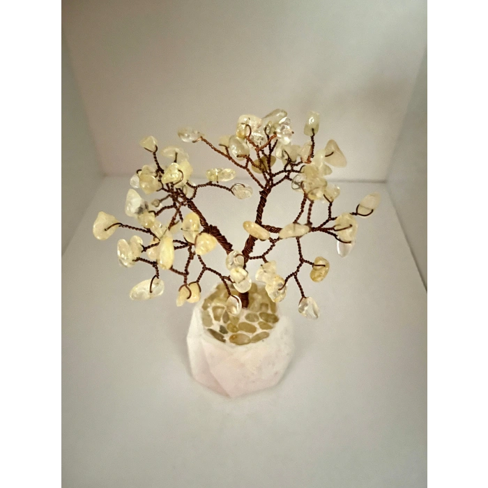 Sarı Sitrin Doğaltaş Ağaç