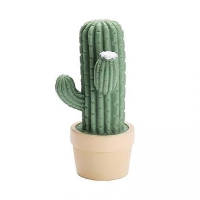 TUFEYO Mini Kaktüs Dekoratifli Pilli Led Masa Gece Lambası Aydınlatma
