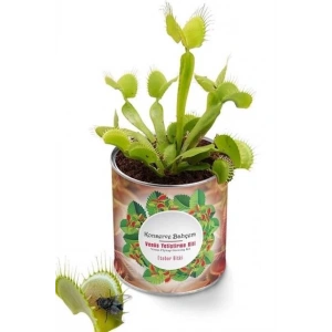 TUFEYO Konserve Bahçem Venüs Et Obur Bitki Yetiştirme Kiti